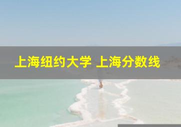 上海纽约大学 上海分数线